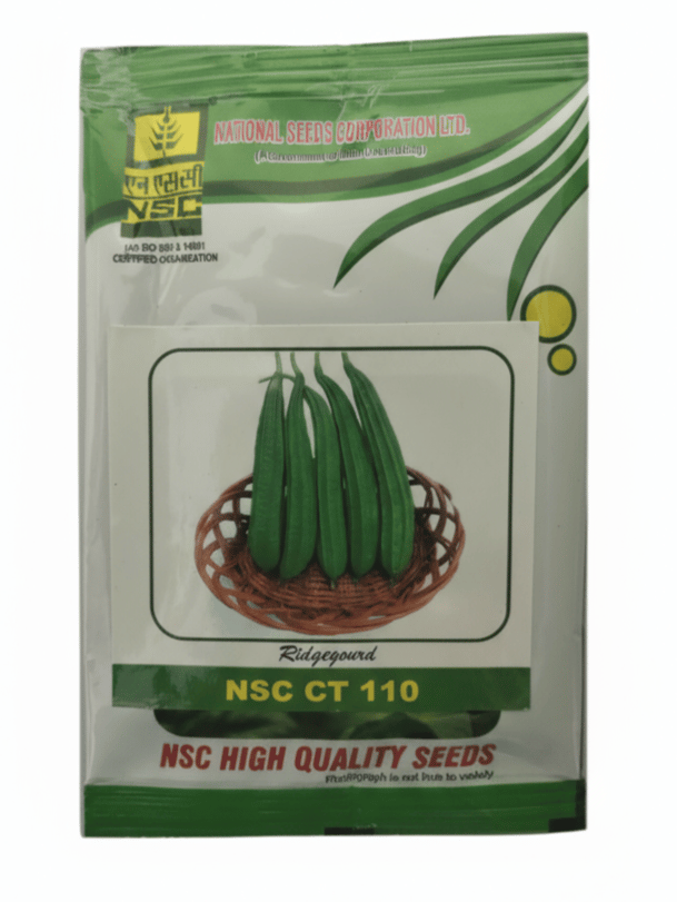 RIDGE GOURD NSC CT 110 - 15 gram