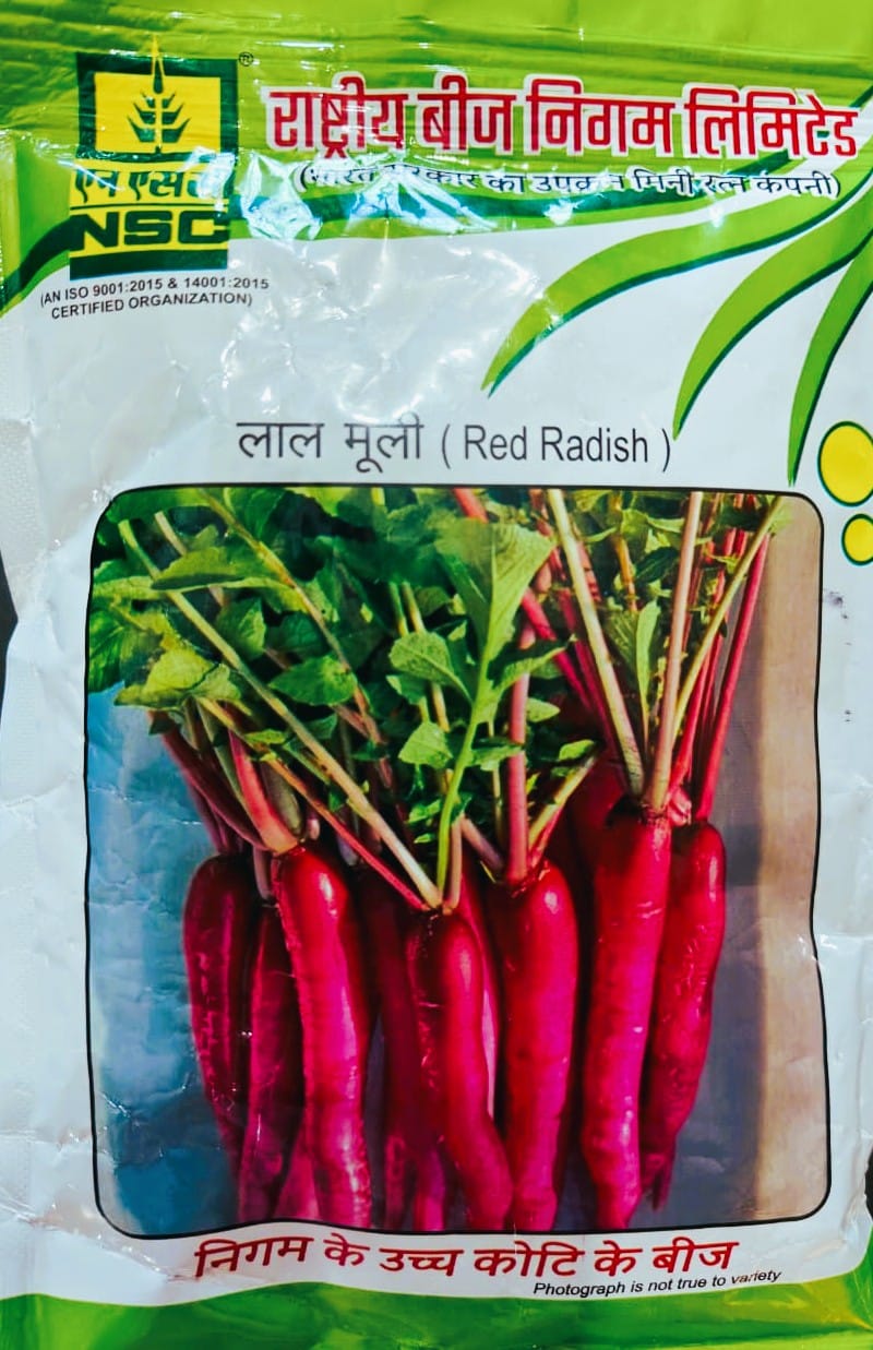 NSC RADISH KASHI LOHITH - 100 GM