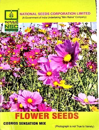 COSMOS SENSATION MIX