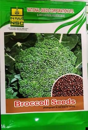 NSC Broccoli variety Pusa Purple Broccoli-1