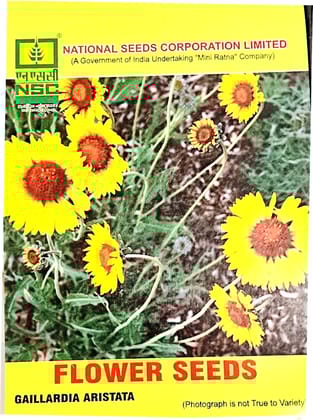 GAILLARDIA ARISTATA
