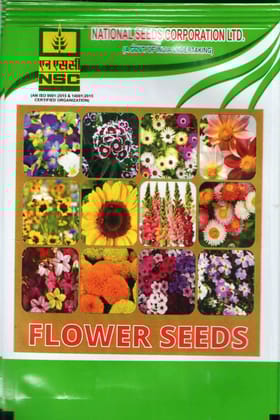 NSC BABUNA HIGH QUALITY FLOWER SEEDS NSC BABUNA HIGH QUALITY FLOWER SEEDS