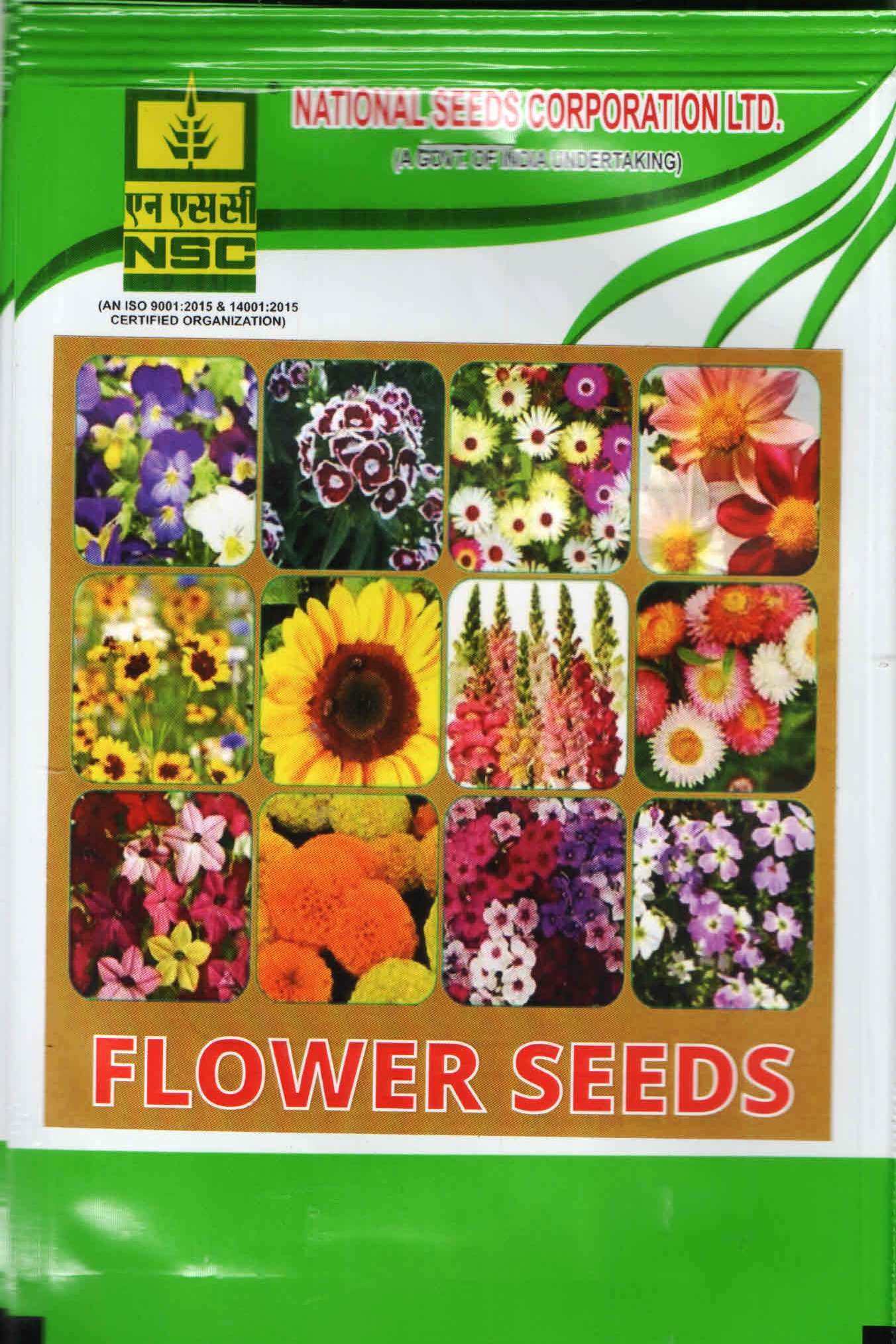 NSC Oremental Cabbage Flower Seeds