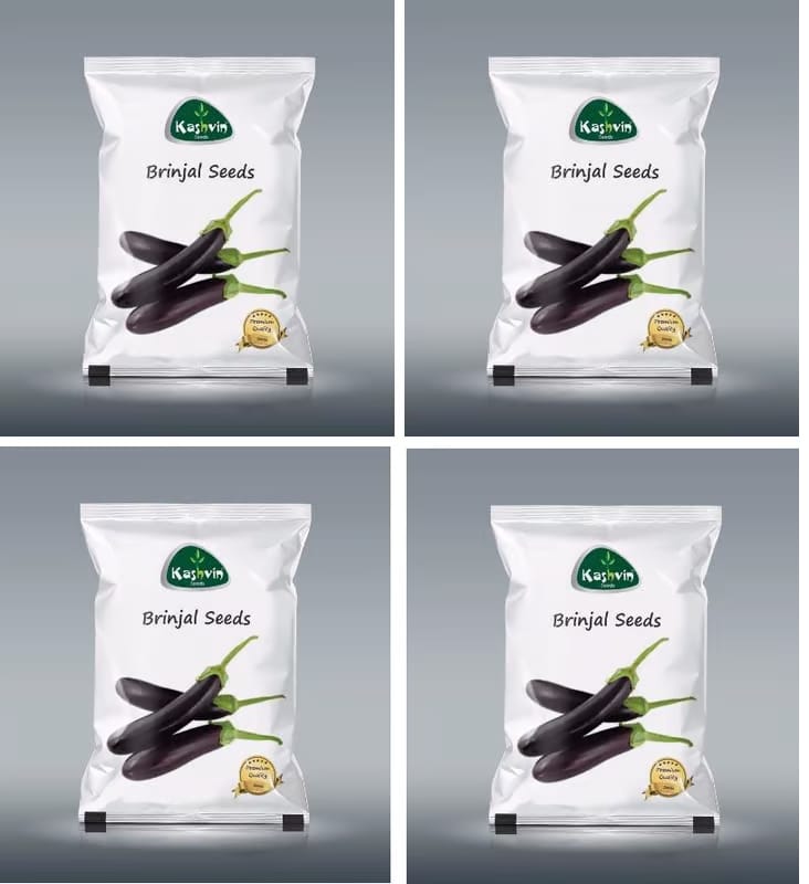 Buy Kashvin Brinjal (Long) Seeds - Premium Quality Brinjal Seeds for Planting - 4 Packs