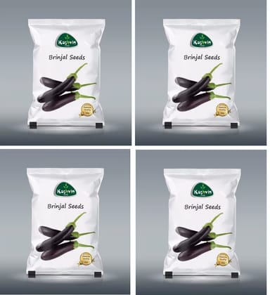 Buy Kashvin Brinjal (Long) Seeds - Premium Quality Brinjal Seeds for Planting - 4 Packs