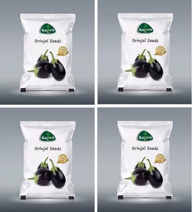 Brinjal Round Seeds | 4 Packet
