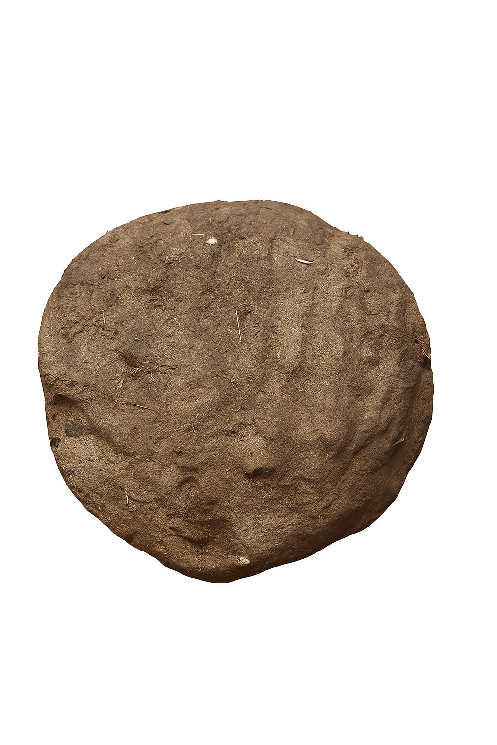 Pure Organic Cow Dung Cake (Gobar Kanda) for Pooja, Fuel & Natural Fertilizer