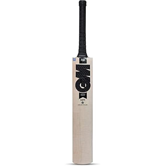 TEKNAXO | GM Noir 303 English Willow Cricket Bat for Men and Boys | Cross Weave Tape on The Face| Short Handle| Lightweight | Free Cover