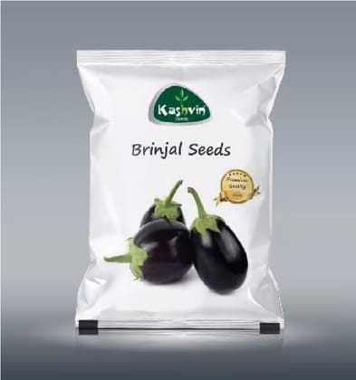 Brinjal Round Seeds | 4 Packet