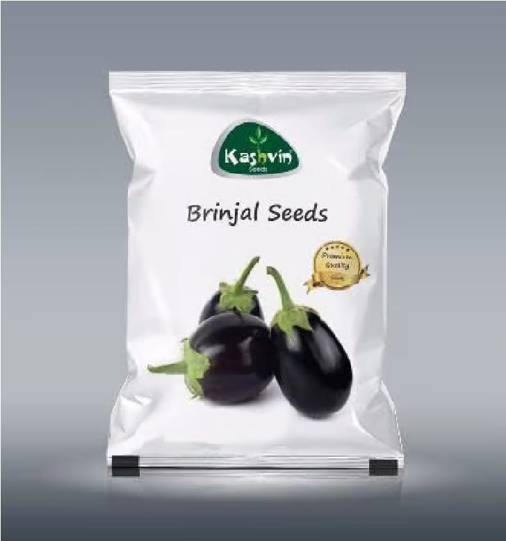Brinjal Round Seeds | 4 Packet