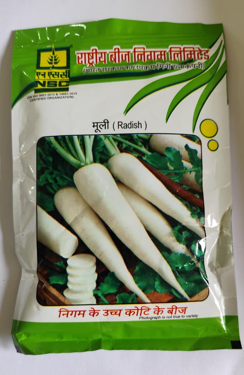 NSC Radish (Mooli) High Quality Vegetable Seeds for Home Garden 100 gm T/L