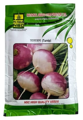 NSC Turnip Seeds Variety- PTWG