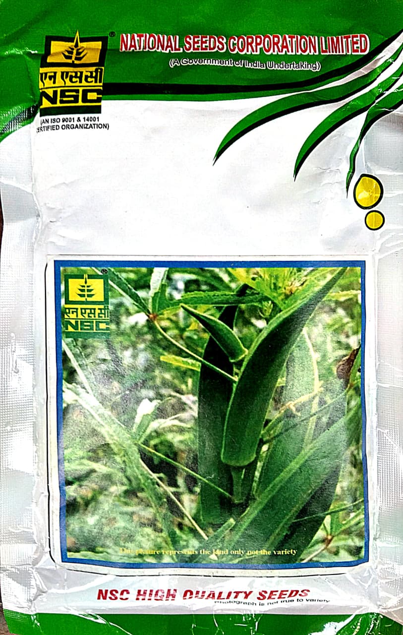 BHINDI (Arka Anamika Variety)