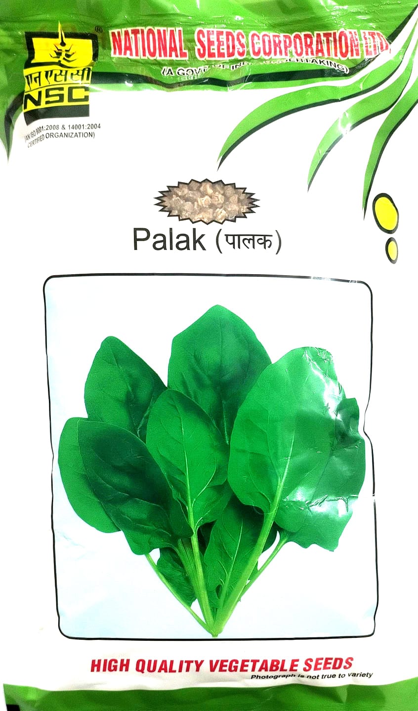 NSC Palak Seed-ALL GREEN- 250 gms