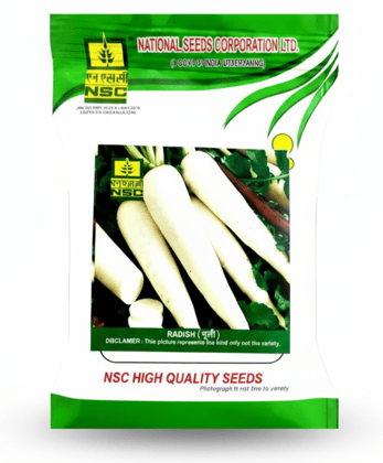 NSC RADISH SEED- KASHI HANS- 25 gms NSC RADISH SEED- KASHI HANS- 25 gms