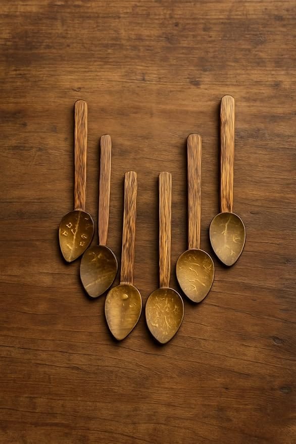 ECOCASK Coconut Shell Spice Spoons, Set of 6, Traditional Masala Spoons