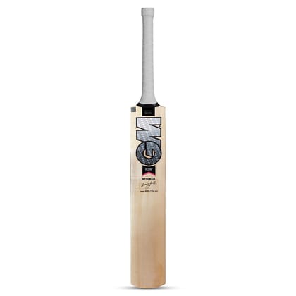 TEKNAXO | GM Icon F2 Striker Kashmir Willow Cricket Bat, Junior Size 5