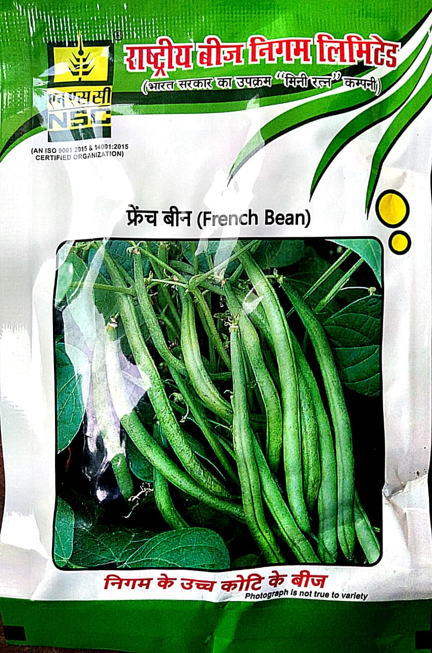 NSC French bean (variety Contender)
