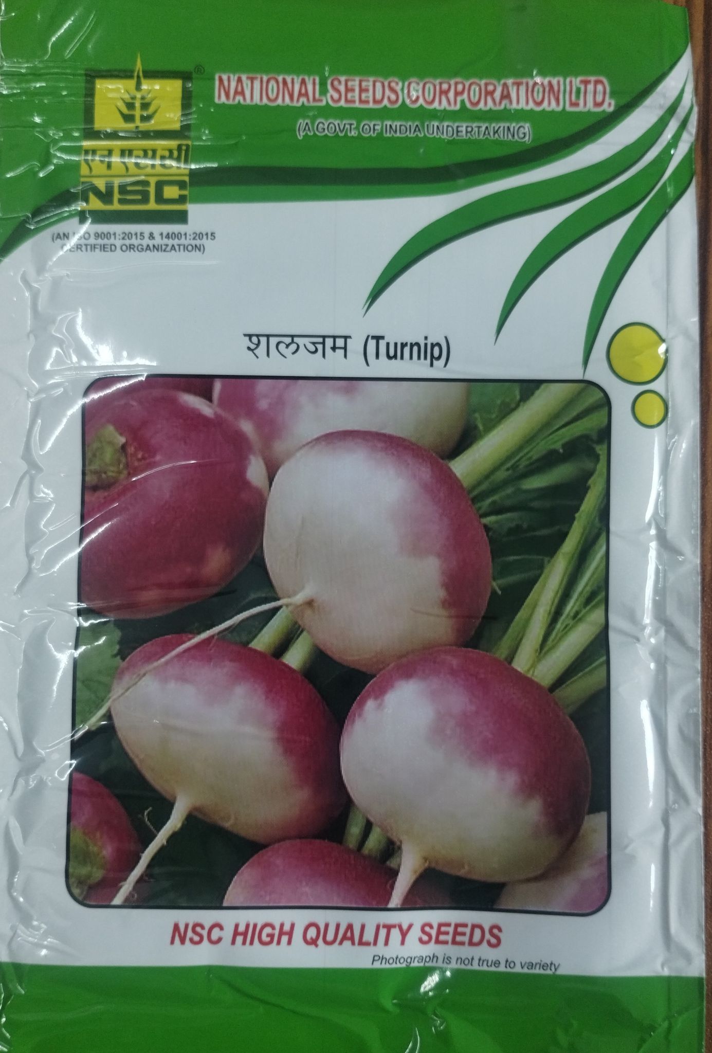 NSC Turnip Seed, Variety: PTWG , 100 gm