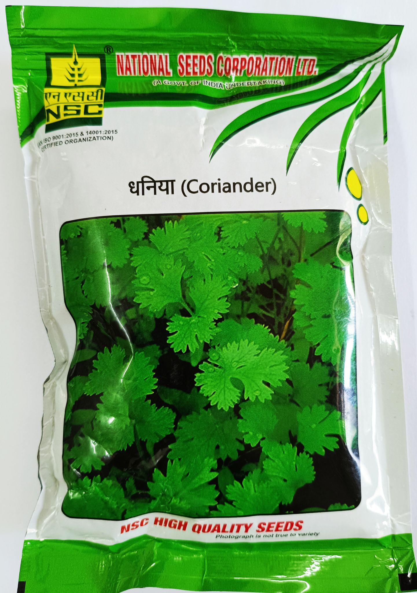 Coriander