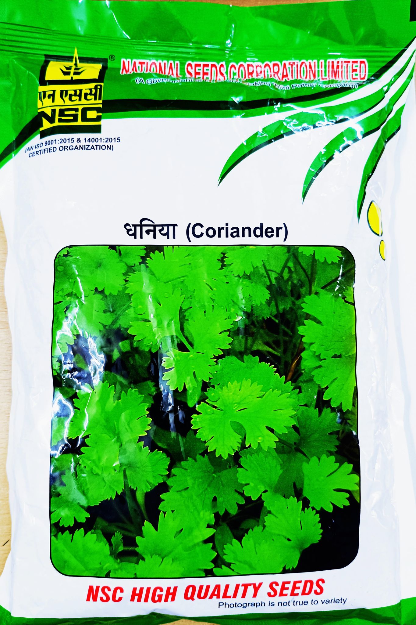  Coriander 