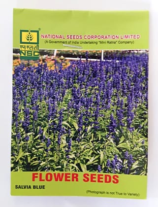 NSC Salvia Blue Flower Seed, 5 gram T/L 