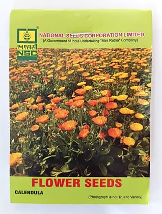 NSC Calendula Flower Seed, 5 gram T/L 