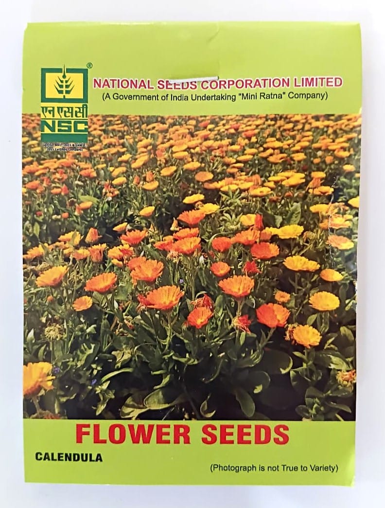 NSC Calendula Flower Seed, 5 gram T/L 