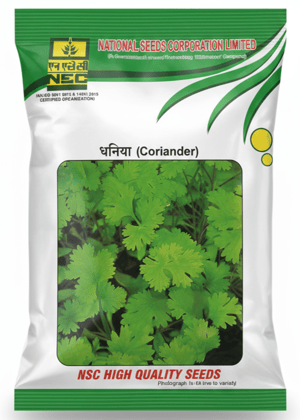 NSC CORIANDER / PH /500 gm CS Seeds
