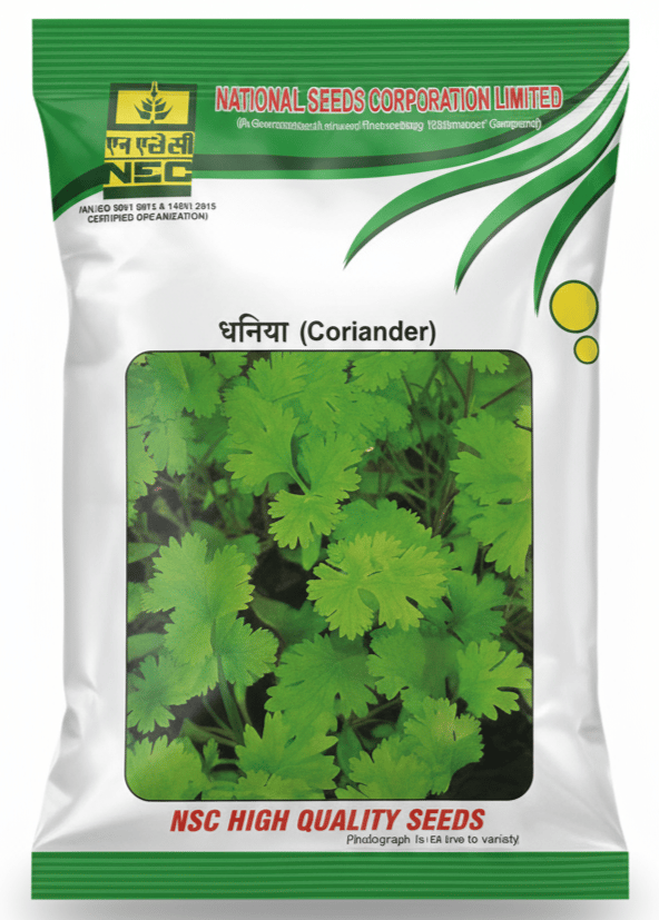 NSC CORIANDER / PH /500 gm CS Seeds