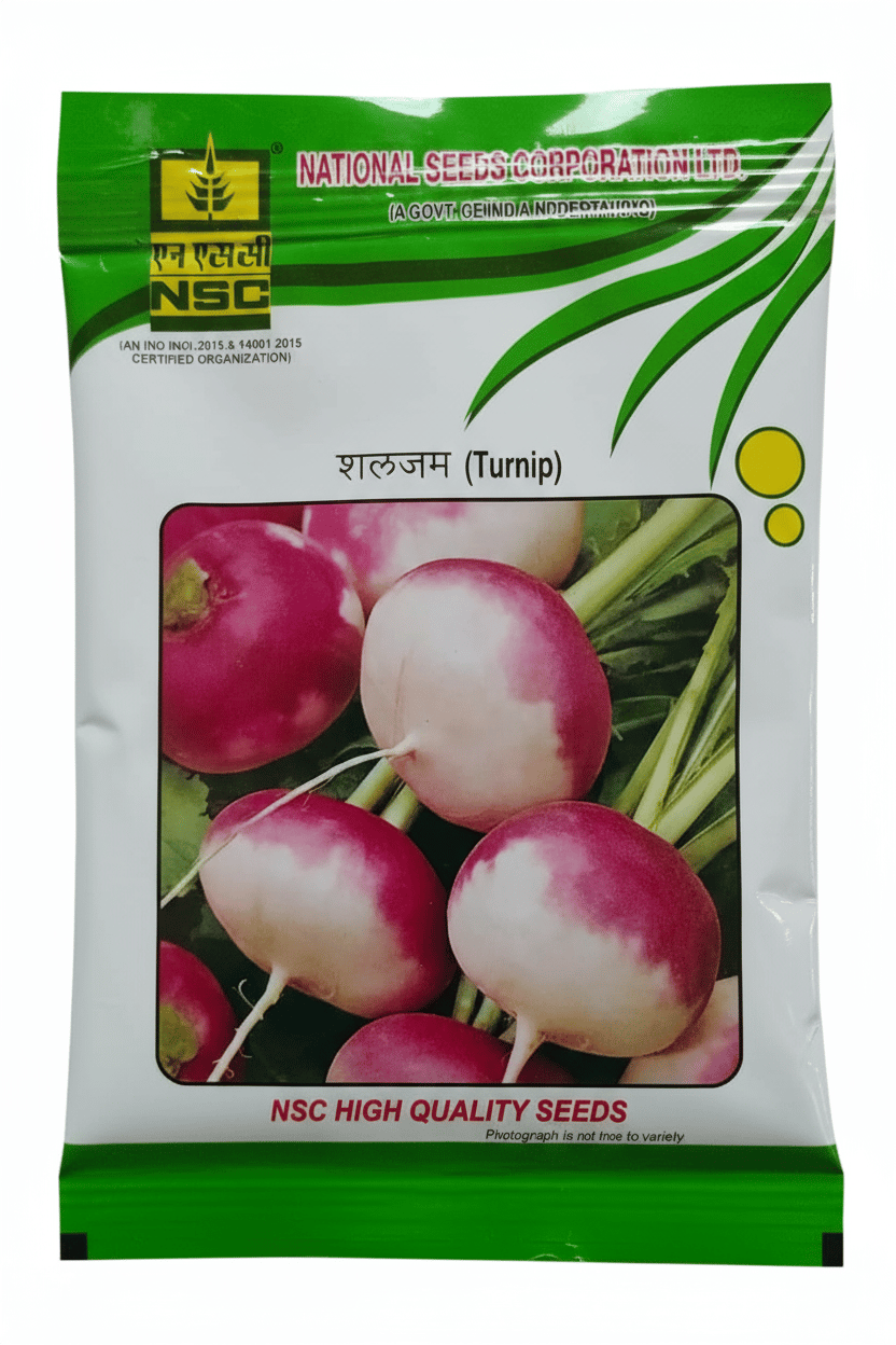 NSC TURNIP / PTWG /100gm TL Seeds
