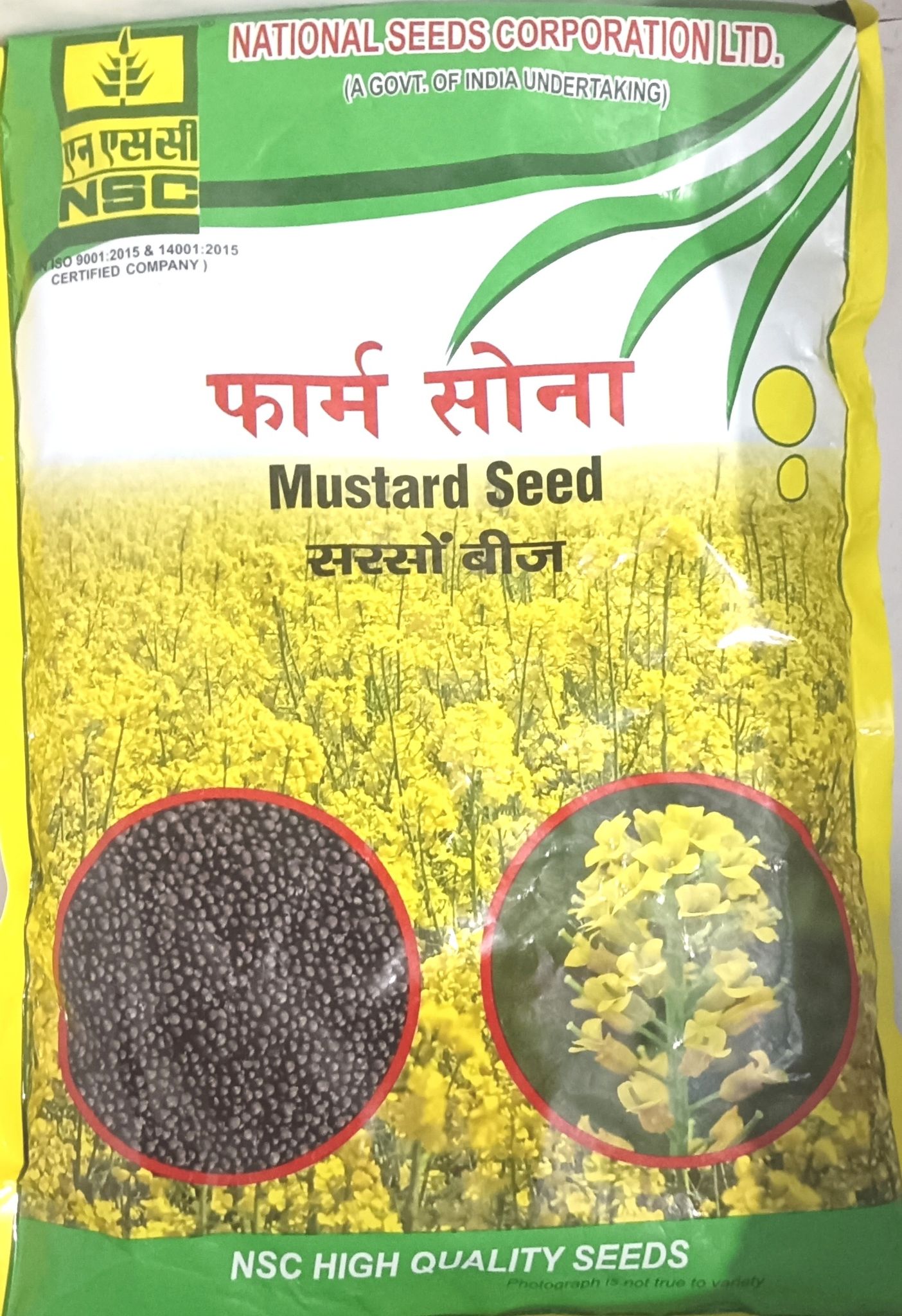 Mustard