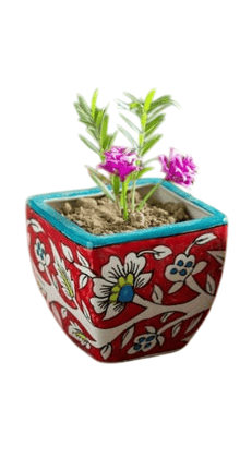 Hand-painted ceramic planter Hand-painted ceramic planter