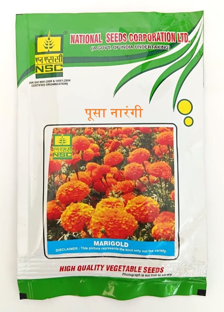 NSC Marigold Pusa Narangi Variety, 10 gram T/L Flower Seed 