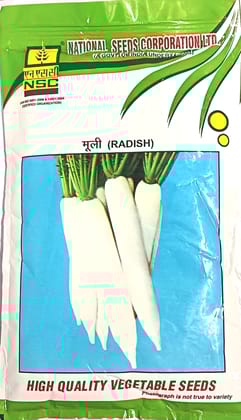 Radish 