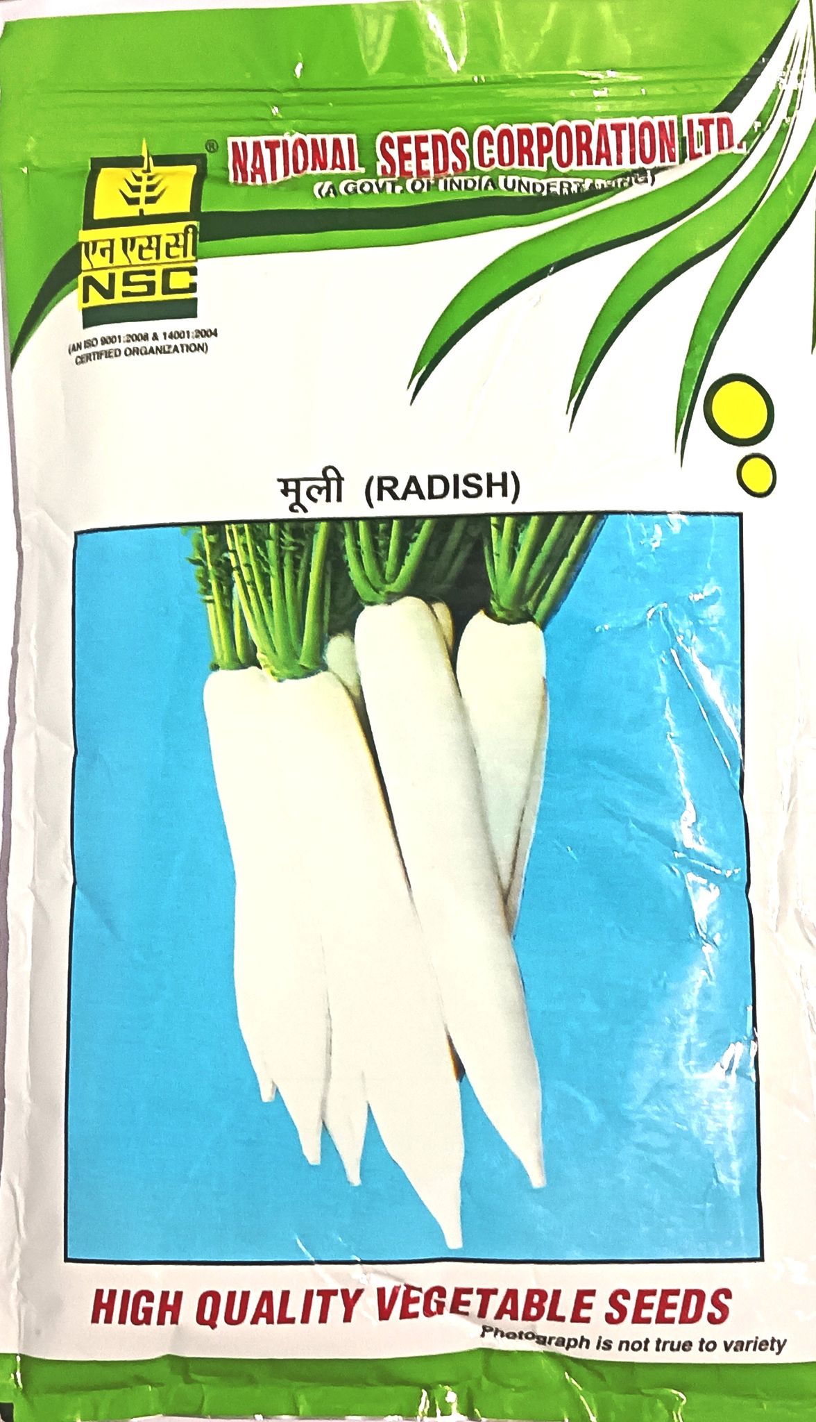 Radish 