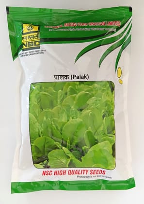 NSC Palak All Green Variety, 500 gm T/L seed