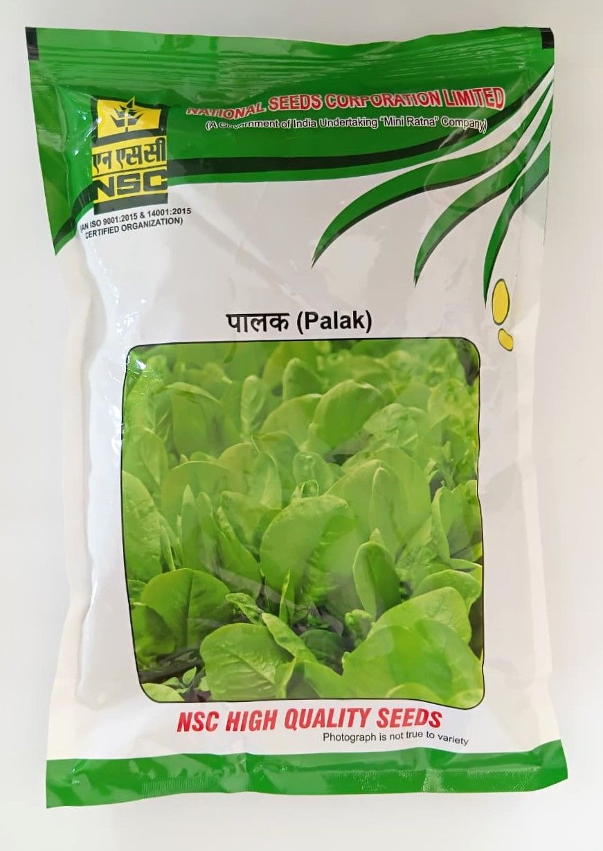 NSC Palak All Green Variety, 500 gm T/L seed
