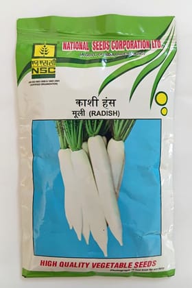 NSC Radish Kashi Hans variety, 250 gram T/L seed