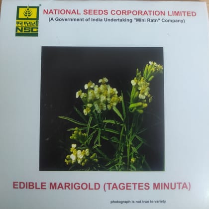 NSC Edible Marigold Salad Seed 