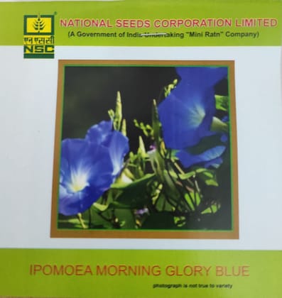 NSC Ipomoea Morning Glory Blue Flower seed 