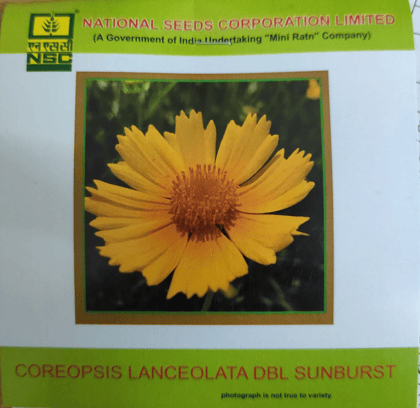NSC Coreopsis Lanceolata Dbl Sunburst flower seed 