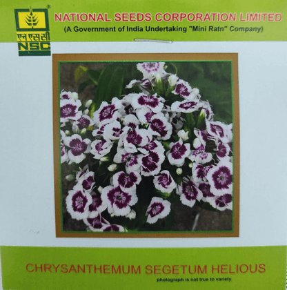 NSC Chrysanthemum Segetum Helious Flower Seed 