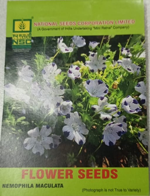 Nemophila Maculata Flower Seeds - National Seeds Corporation