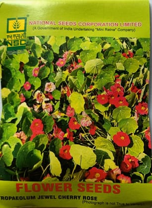 National Seeds Tropaeolum Jewel Cherry Rose Flower Seeds