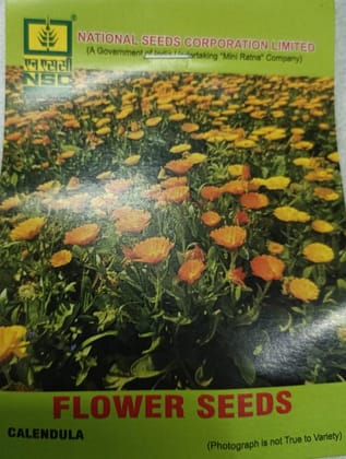 NSC Calendula Flower Seeds - Premium Quality for Vibrant Gardens