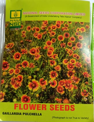 Gaillardia Pulchella Flower Seeds by National Seeds Corporation Limited