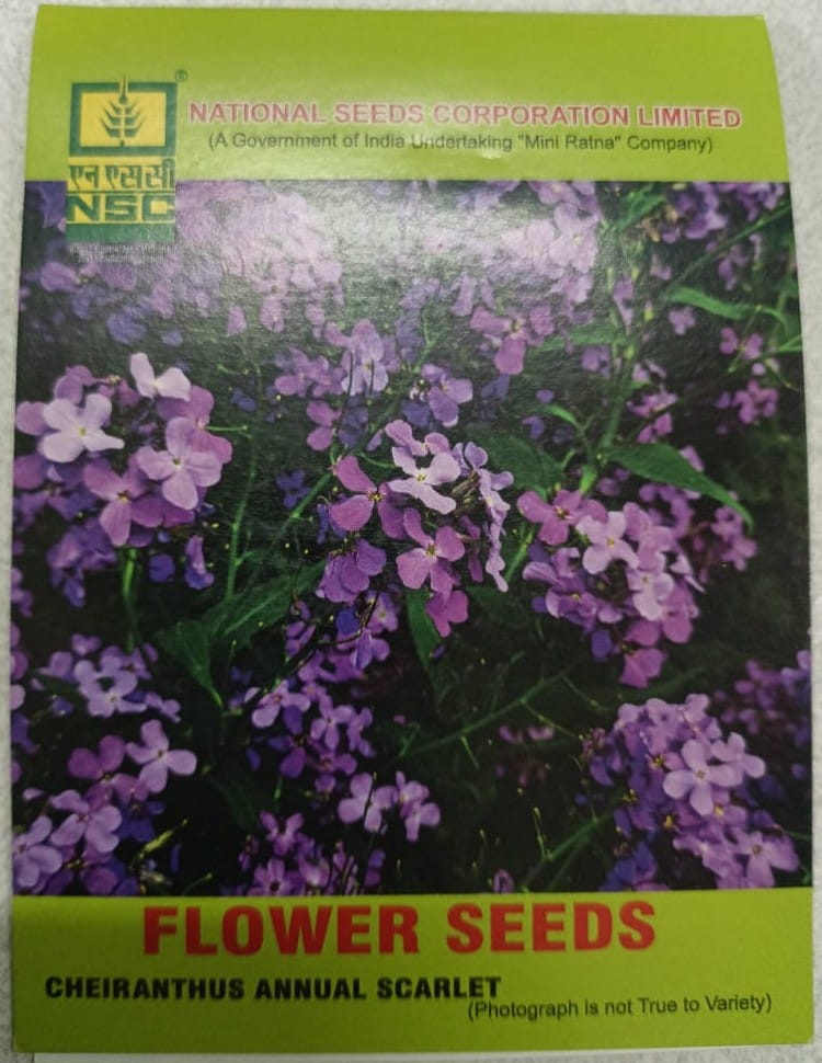NSC Cheiranthus Annual Scarlet Flower Seeds