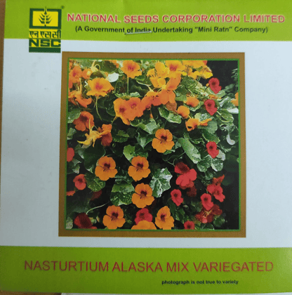 NSC Nasturtium Alaska Mix Variegated Flower Seed