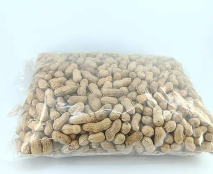 GROUNDNUT